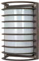 1-Light 10" Rectngle Cage Blk Hd in Architectural Bronze