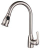 Pull Out Kitchen Faucet, Brush Nickel Finish