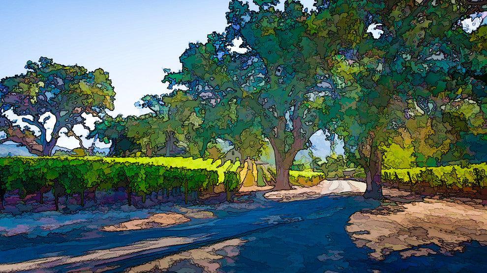 Wine Country Lane,  Giclee On Canvas, 40"x20"