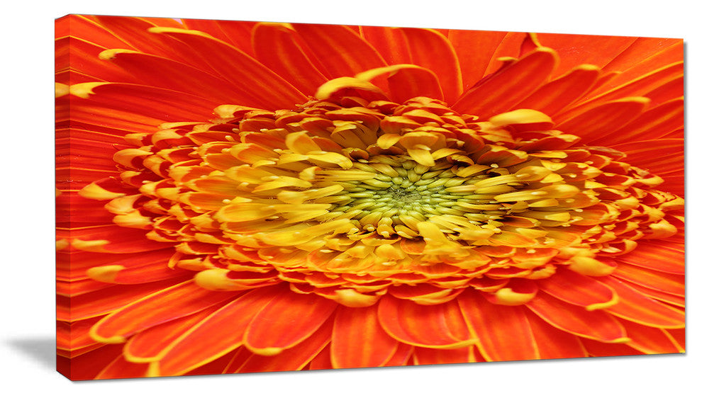 Beautiful Gerbera Flower In Brig, Floral Canvas Art Print, 32"x16"