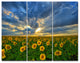 Beauty Sunset over Sunflowers, Landscape Triptych Canvas Print, 36x28, 3 Panels