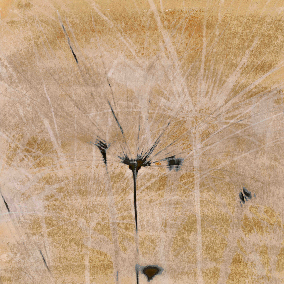 "Dandelions III" Painting Print on Canvas by Aryai