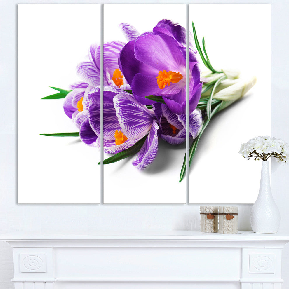 "Bunch of Blooming Crocus Flowers" Metal Wall Art, 3 Panels, 36"x28"
