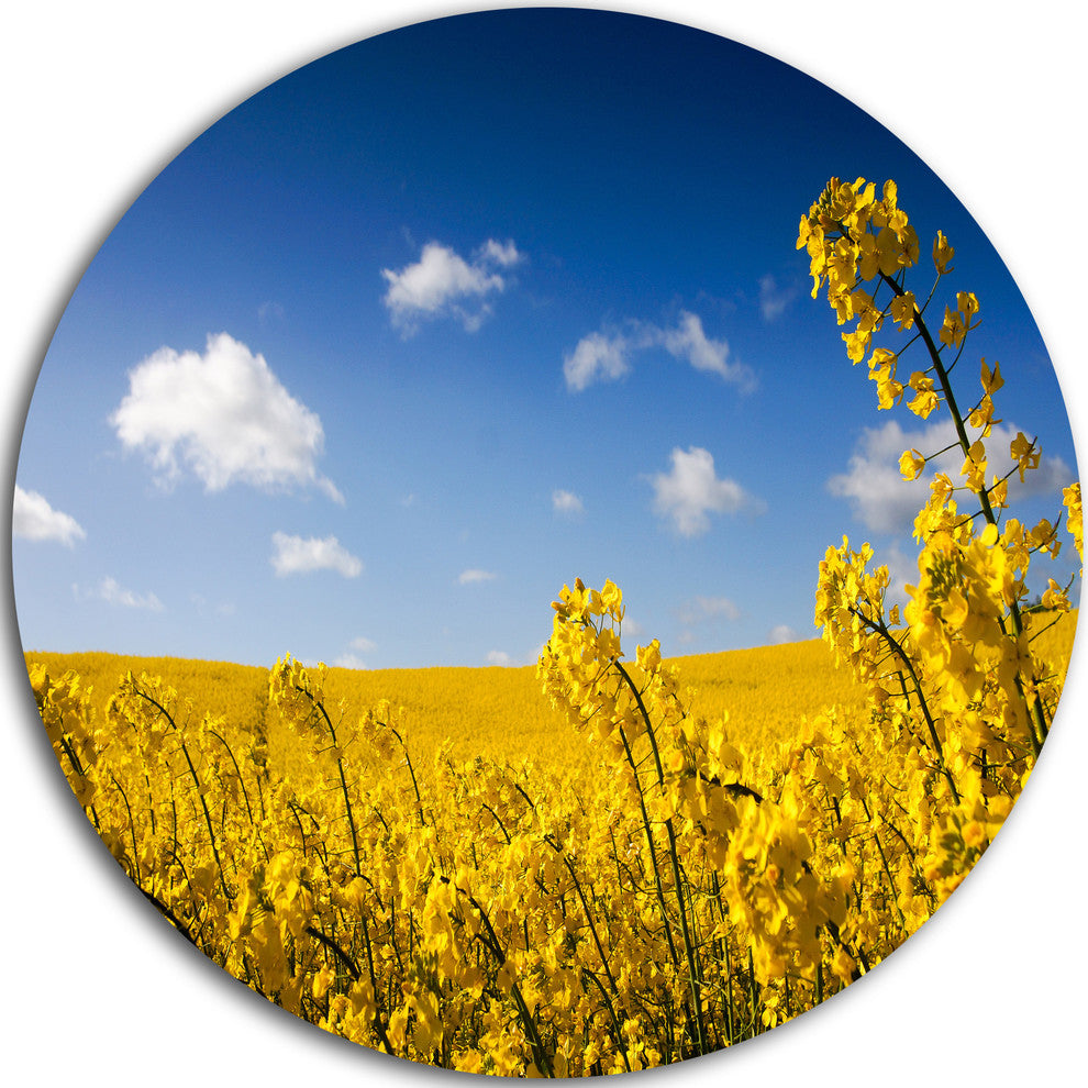 Yellow Canola Field, Landscape Photography Disc Metal Artwork, 23"