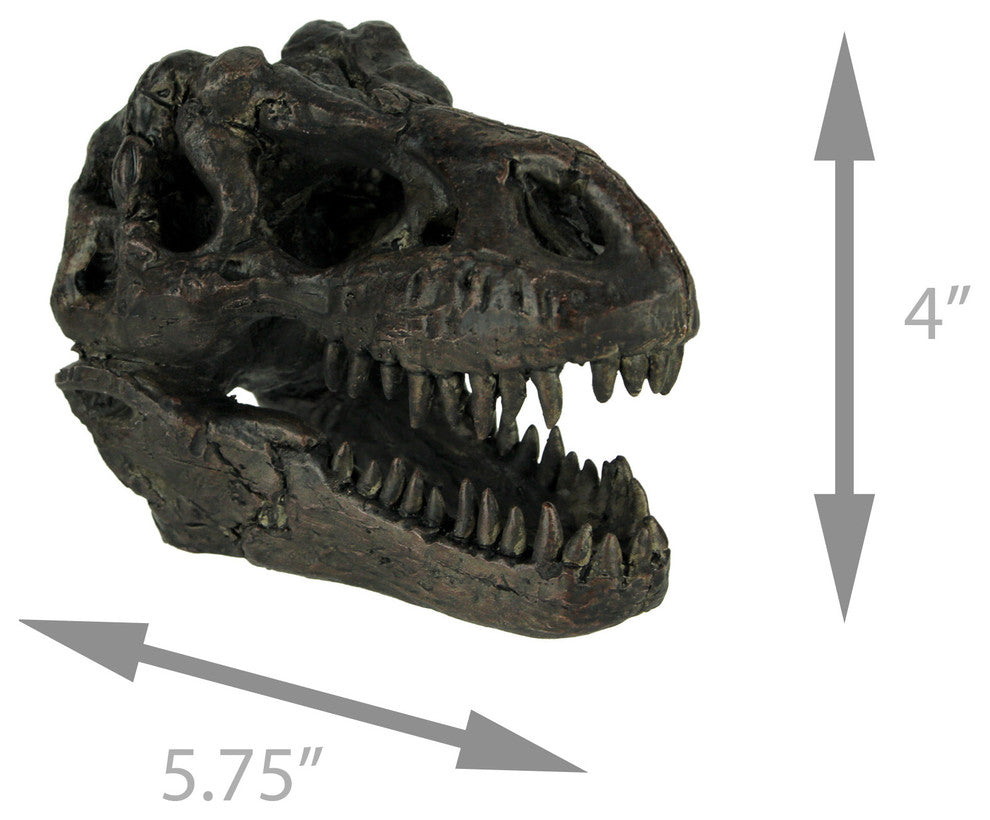 Tyrannosaurus Rex Dinosaur Head Fossil Statue Small