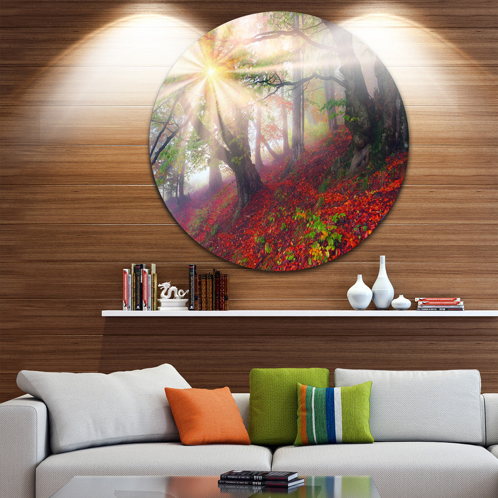 Sun In Forest After Heavy Storm, Landscape Disc Metal Wall Art, 38"