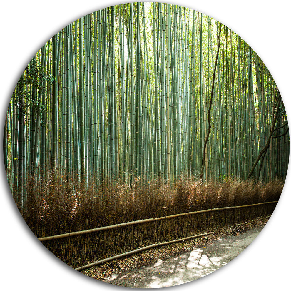 Beautiful View Of Bamboo Forest, Forest Round Metal Wall Art, 23"