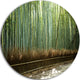 Beautiful View Of Bamboo Forest, Forest Round Metal Wall Art, 23"
