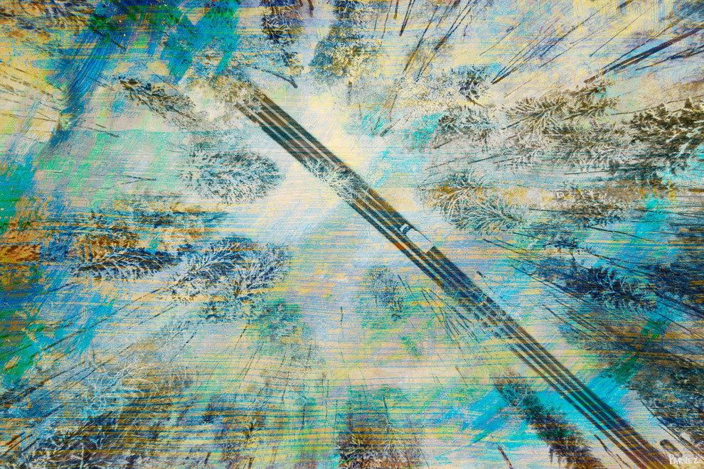 "Tall Tree Road" Painting Print on Wrapped Canvas, 36"x24"