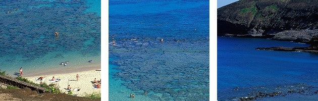 "Beach at Hanauma Bay Oahu Hawaii" Canvas Art, 60"x20"x1.25"