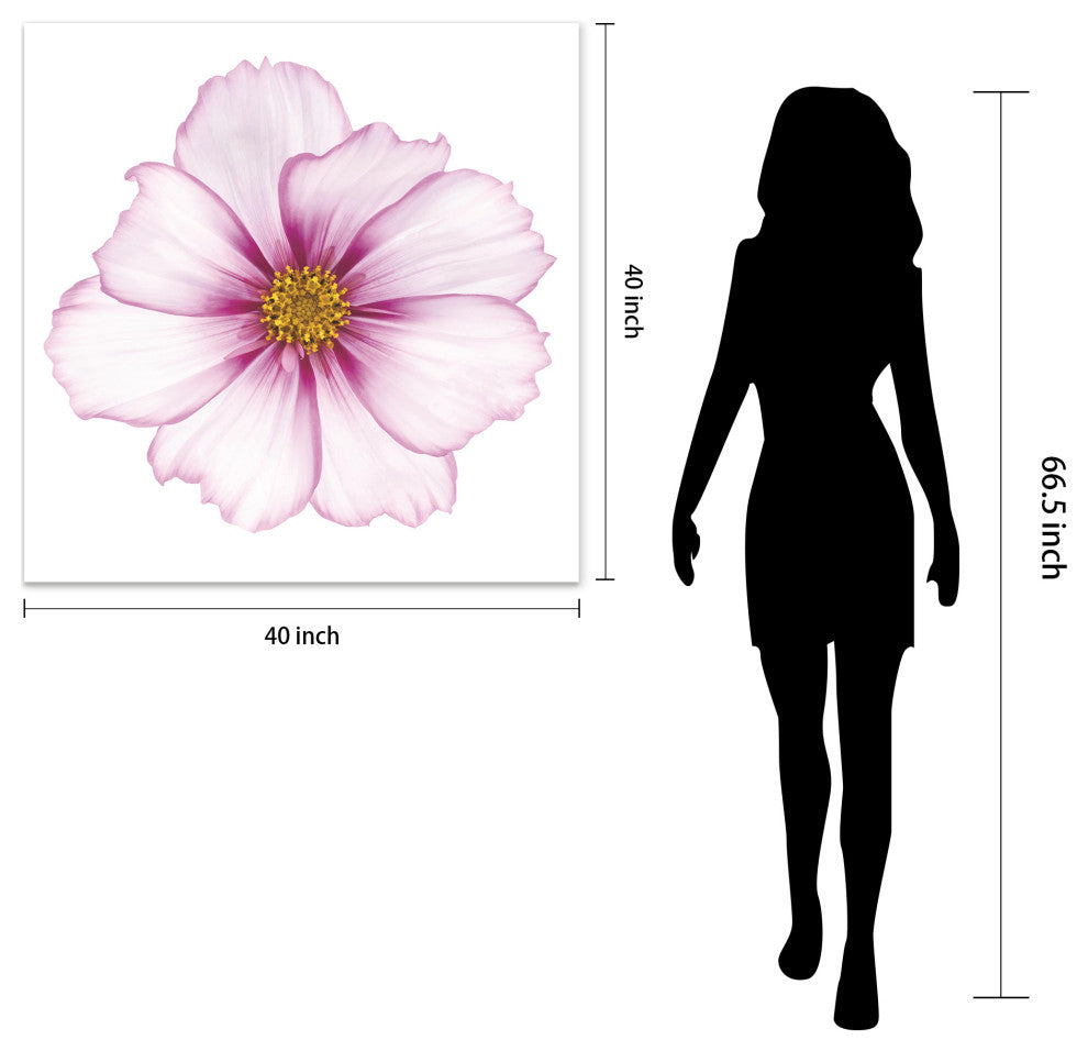 "Magenta Cosmo on White" Wall Art Frameless Free Floating Tempered Glass