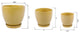 Gl Mustard Hiero Ceramic Pot On Saucer Set of 3