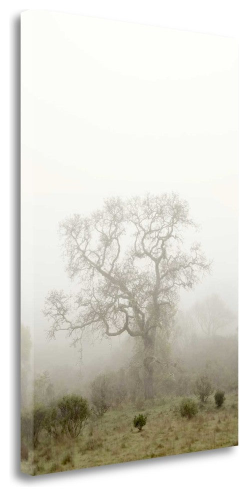 "Oak Tree - 63" By Alan Blaustein, Giclee Print on Gallery Wrap Canvas