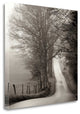 "Cades Cove" By Nicholas Bell,Ready to Hang Giclee Print on Gallery Wrap Canvas