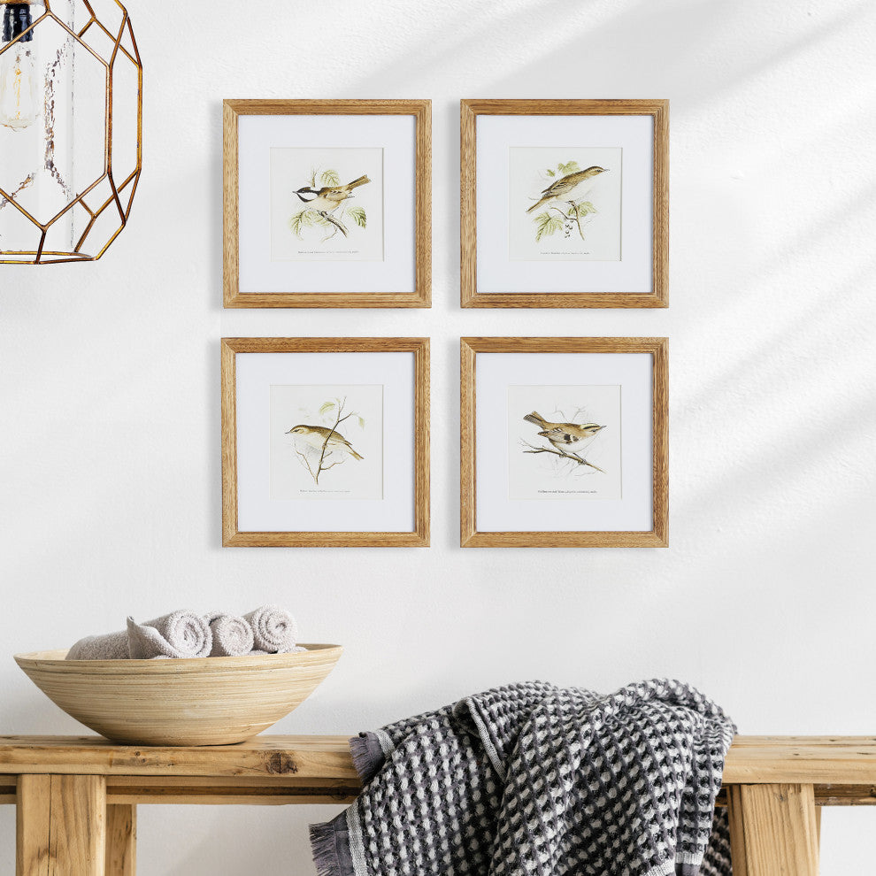 Perching Bird Study Petite