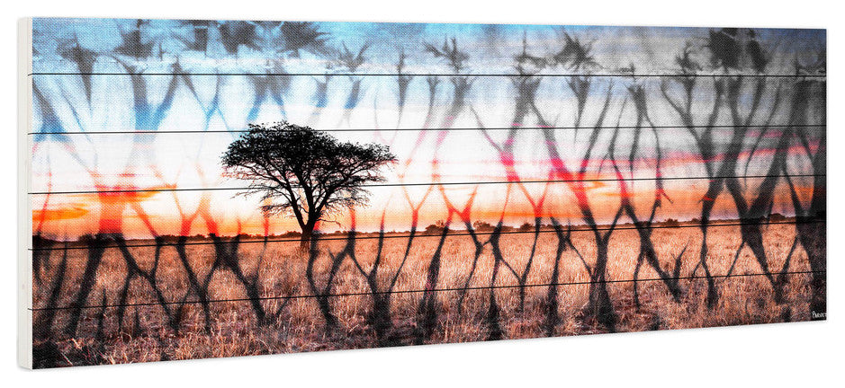 "African Landscape" Print on White Wood, 60"x20"