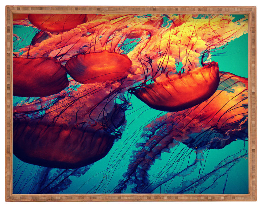Deny Designs Krista Glavich Jellyfish 7 Rectangular Tray