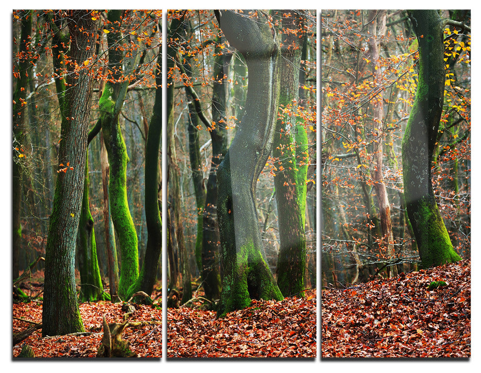 "Autumn Forest in the Netherlands" Photo Metal Wall Art, 3 Panels, 36"x28"