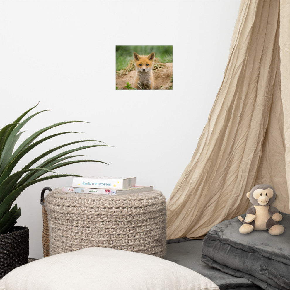 Coming Out (Baby Fox Pup) Wildlife Photography Unframed Wall Art Print, 8" X 10"