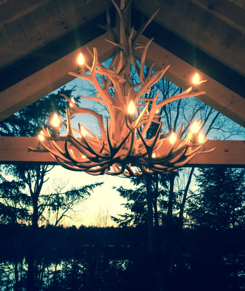 Elk, Mule Deer Antler Chandelier Light, Medium, Rawhide Shades