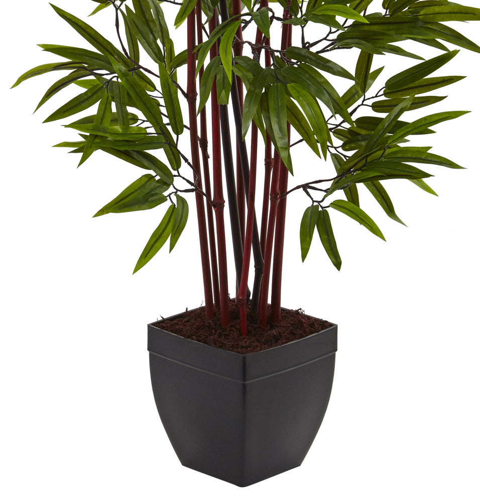 4' Bamboo Silk Tree With Planter