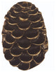Pinecone Cabinet Knob, Antique Brass
