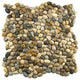 Mini Polished Cobblestone Pebble Tile