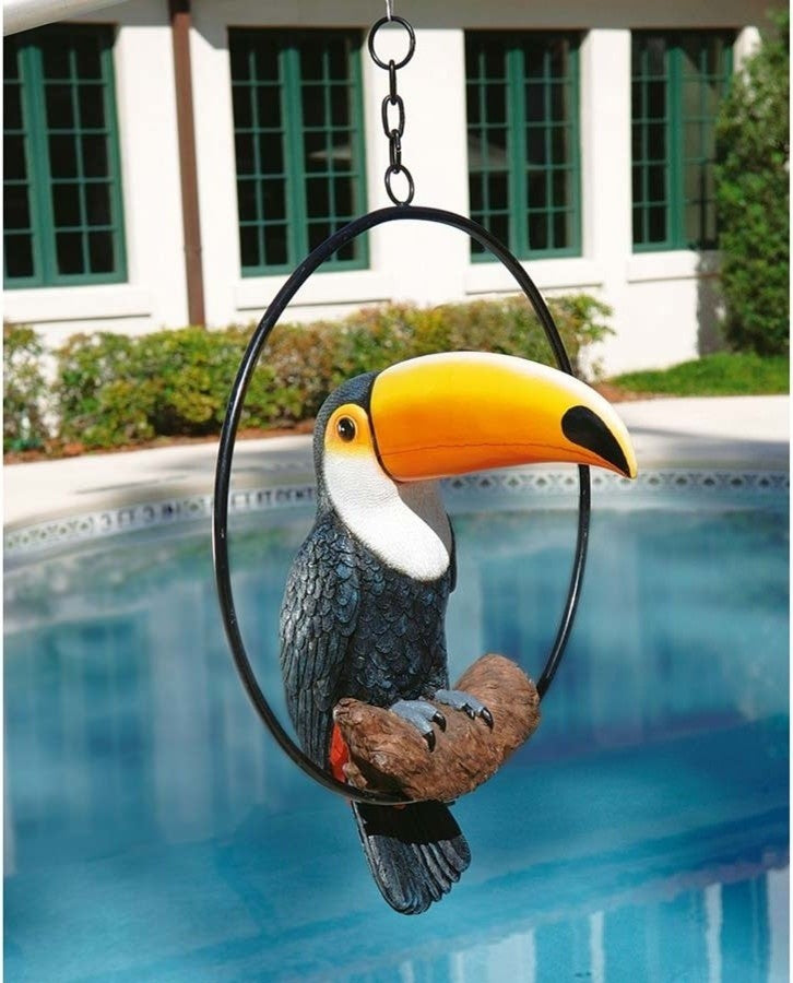 Touco the Toucan