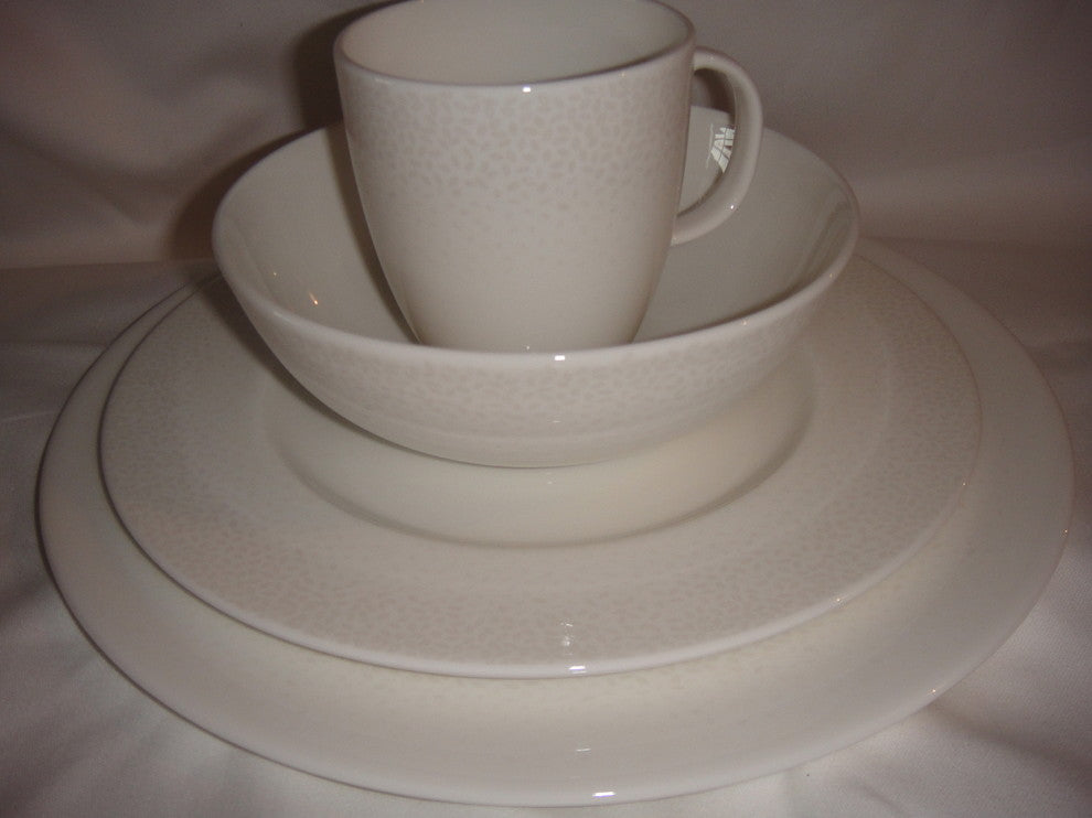 Lenox Effervescent, Simply Fine Collection 4 Piece Dinnerware Set