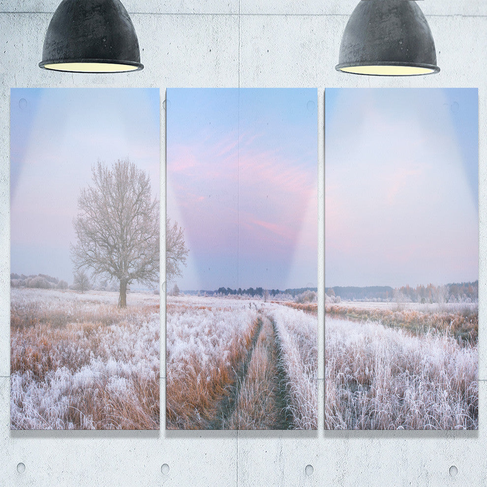 "Dry Oak Tree in Winter Panorama" Metal Wall Art, 3 Panels, 36"x28"