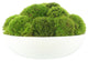 Natural Moss In White Bowl
