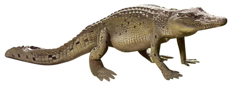Walking Crocodile Statue