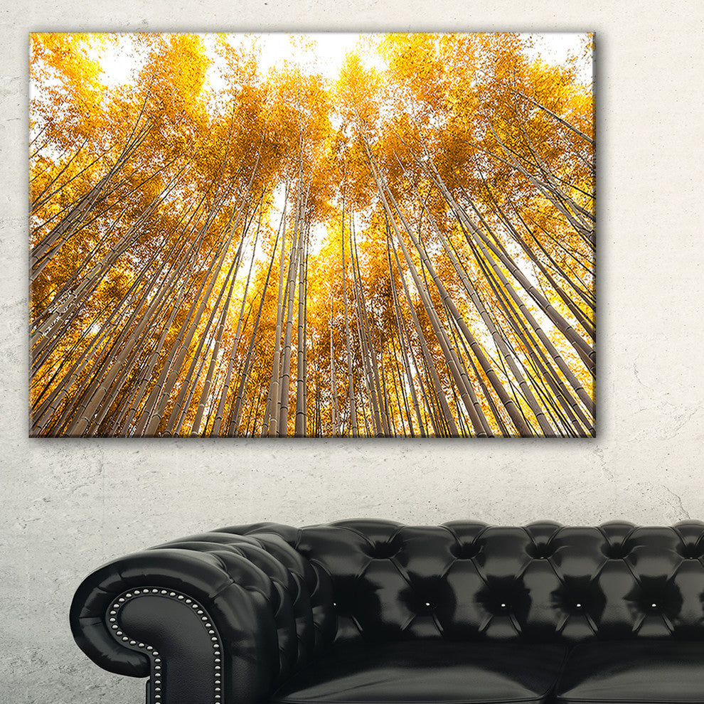 "Autumn Bamboo Grove in Yellow" Oversized Forest Wall Art, 1 Panel, 60"x28"