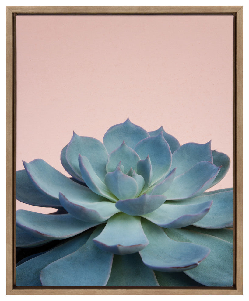 Sylvie Botanical, Succulent Framed Canvas Wall Art, Gold, 18x24