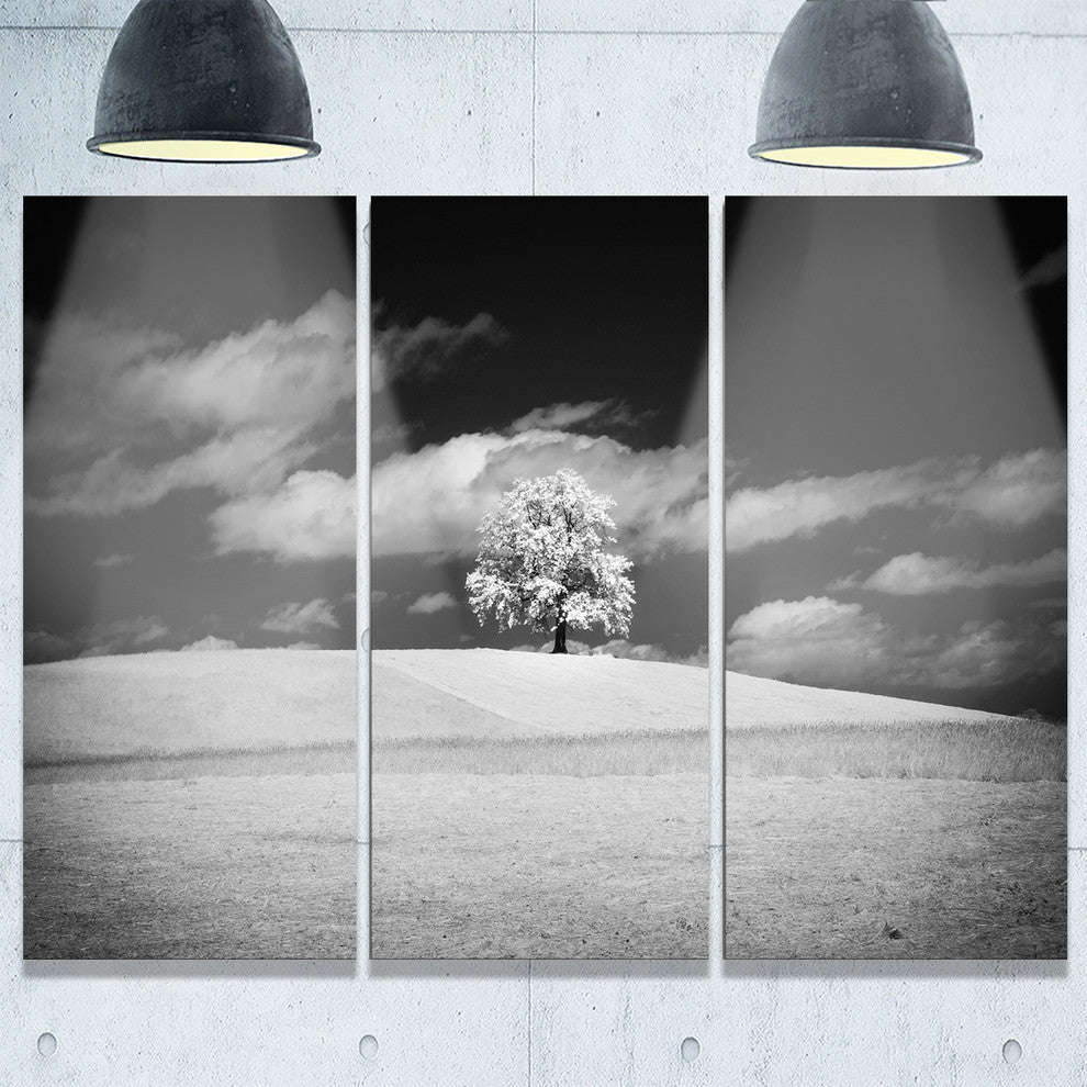 "Lonely Tree on Meadow Black White" Metal Wall Art, 3 Panels, 36"x28"