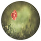 Red Wild Poppy Flower On Green, Modern Floral Disc Metal Artwork, 23"