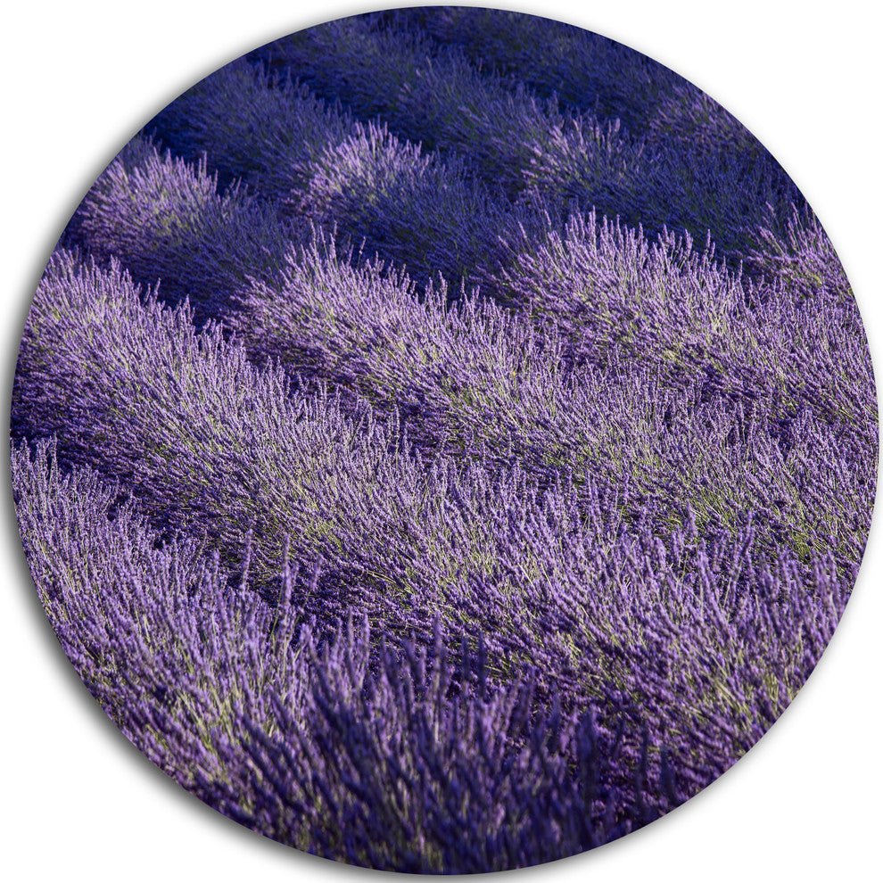 Lavender Field And Ray Of Light, Landscape Round Wall Art, 11"
