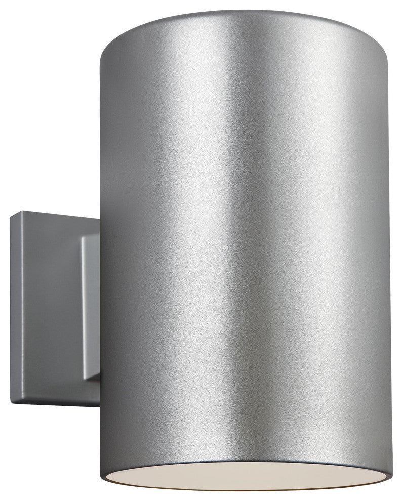 Large 1-Light Outdoor Wall Lantern, Painted Brushed Nickel