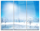 "Glowing Winter Sun" Photography Metal Wall Art, 3 Panels, 36"x28"