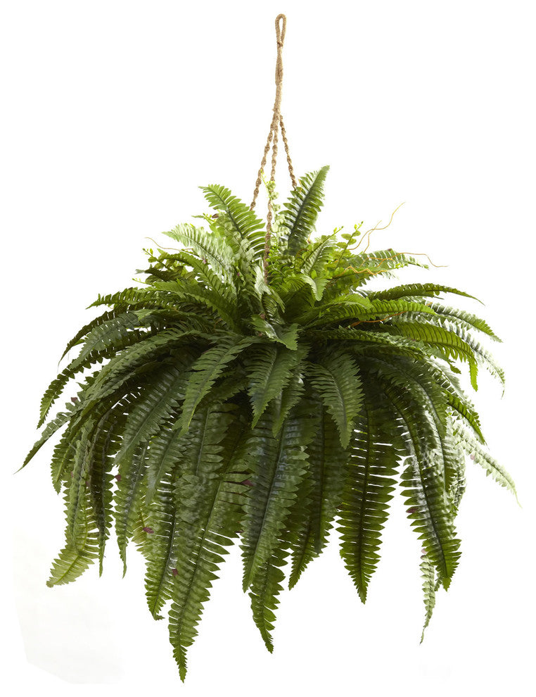 Double Giant Boston Fern Hanging Basket, Green