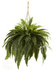 Double Giant Boston Fern Hanging Basket, Green