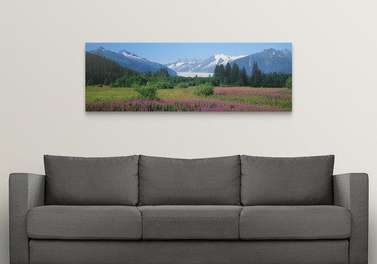 "Fireweed Mendenhall Glacier Juneau AK" Canvas Art, 60"x20"x1.25"