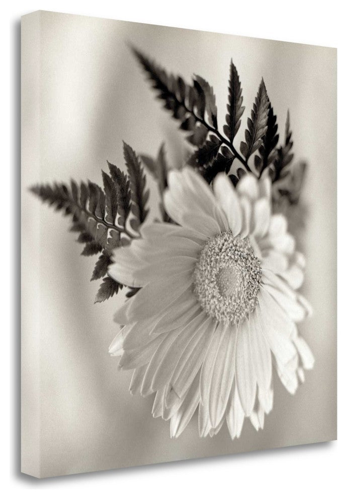 "Florison - 60" By Alan Blaustein, Giclee Print on Gallery Wrap Canvas