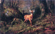 Arthur Fitzwilliam Tait Adirondacks - 18" x 27" Premium Canvas Print