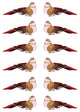 Delightful Bird Christmas Ornaments, Brown and Pink, Set of 12, 5.25"