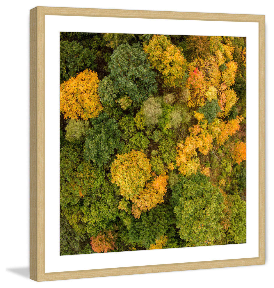 "Bush Bunch" Framed Print by Karolis Janulis