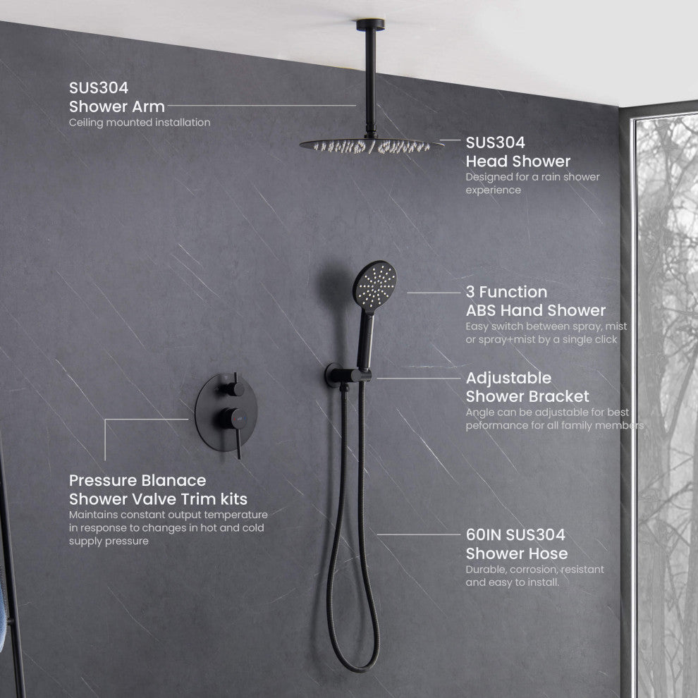 Ceiling Mounted 2-Function Shower System, Rough, Valve, Matte Black