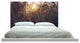 "Sun Fields" Headboard