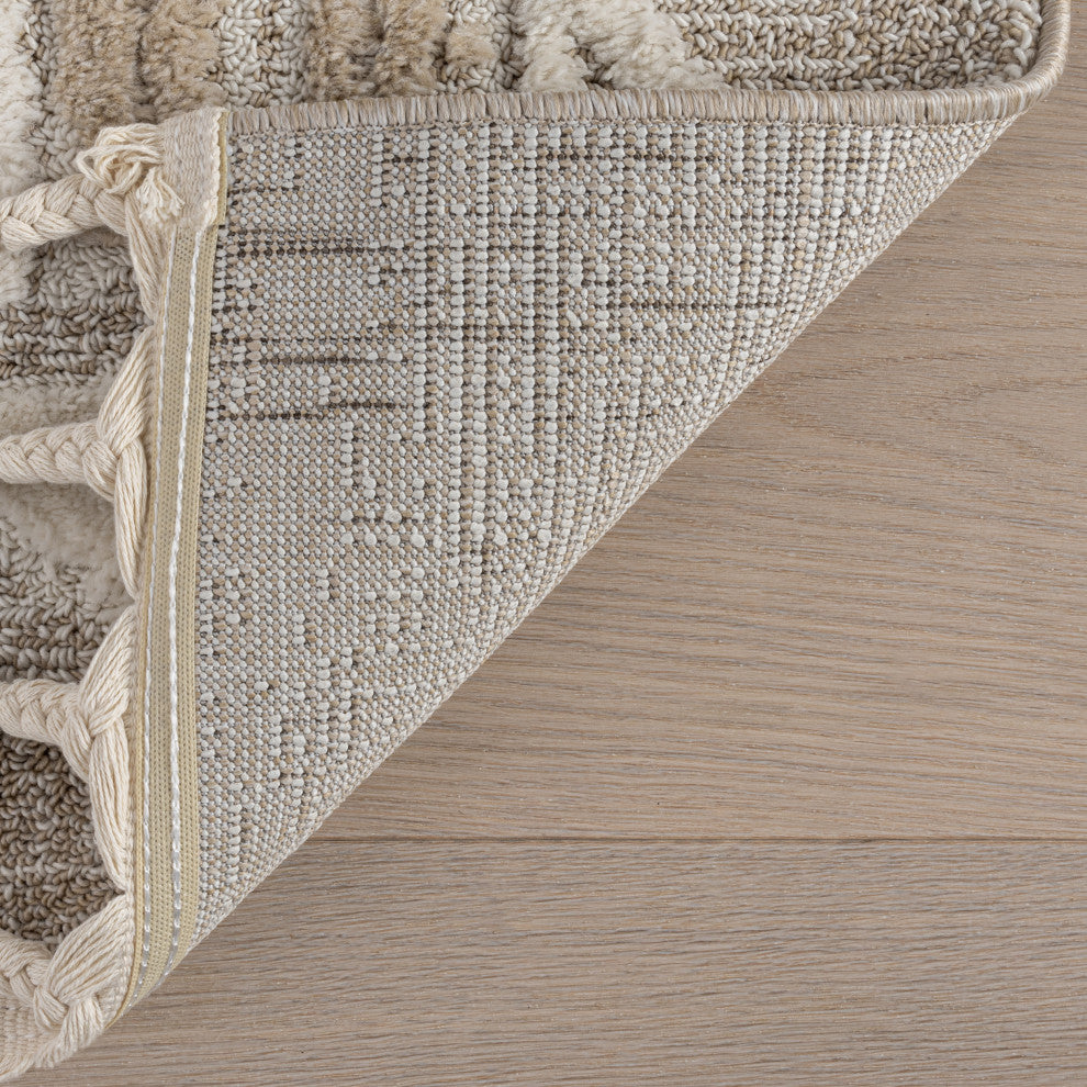Eden Southwestern Tasseled Area Rug, Light Beige 3' x 5'
