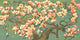 "Magnolia Branches II" Painting Print on Canvas by Evelia